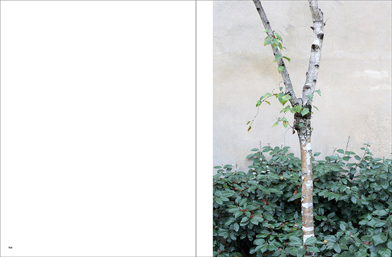 anthos. Radikal