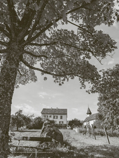 Das Schaffhauser Haus
