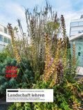 Landschaft lehren