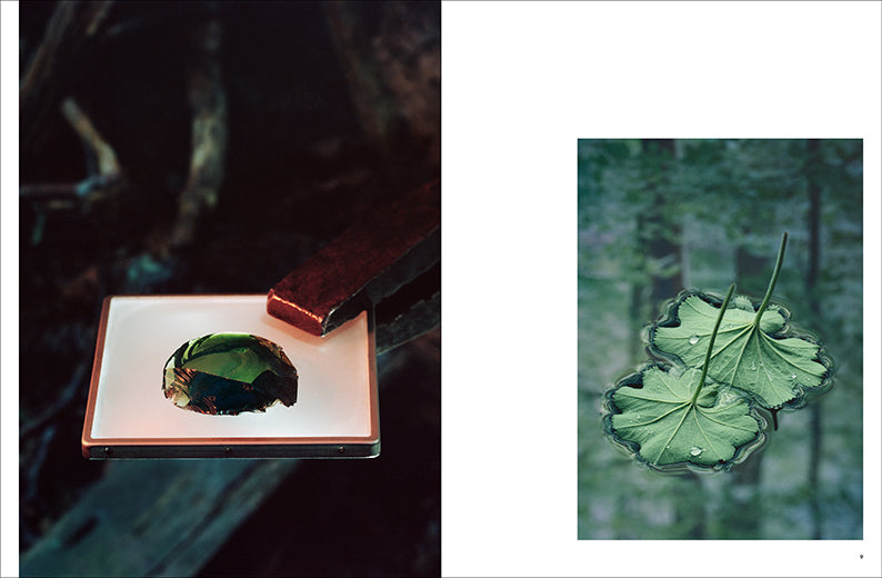 anthos. Transformation